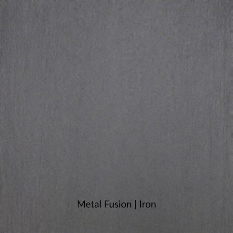 Metal Fusion Iron