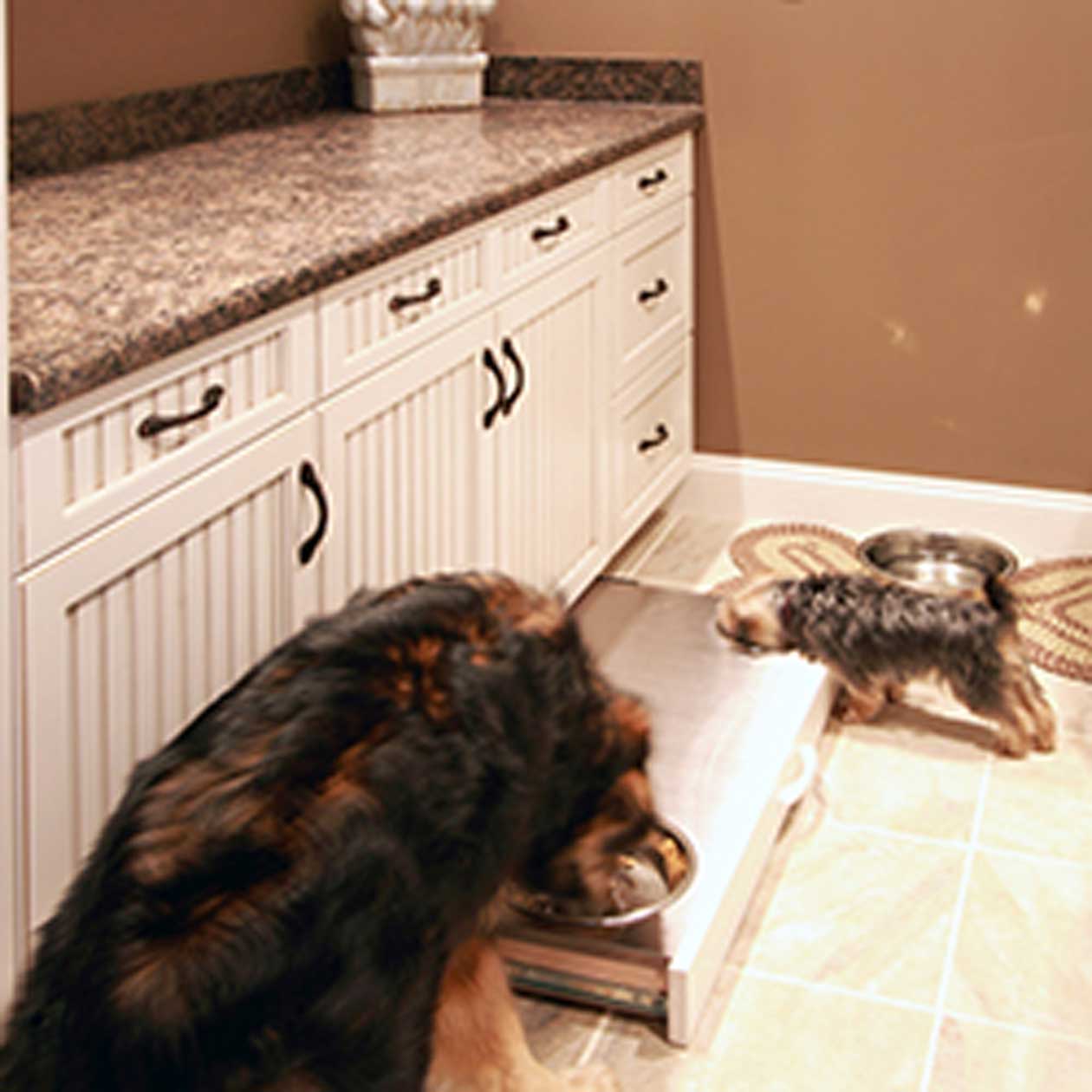 Dog eating from bowl in cabinet.